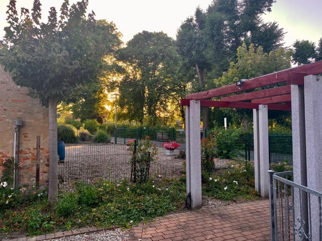SchoningenNeu! Ferienhuette Tiny House别墅 外观 照片